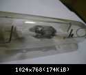 DSCN0368