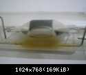 DSCN0372