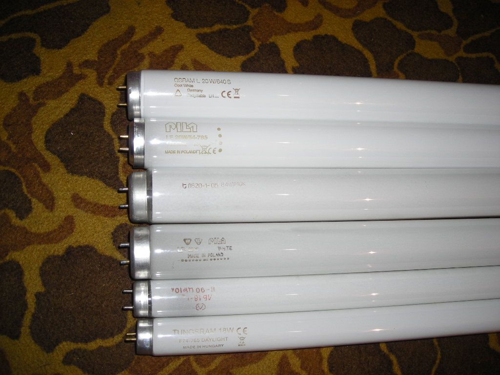 DSCN0426