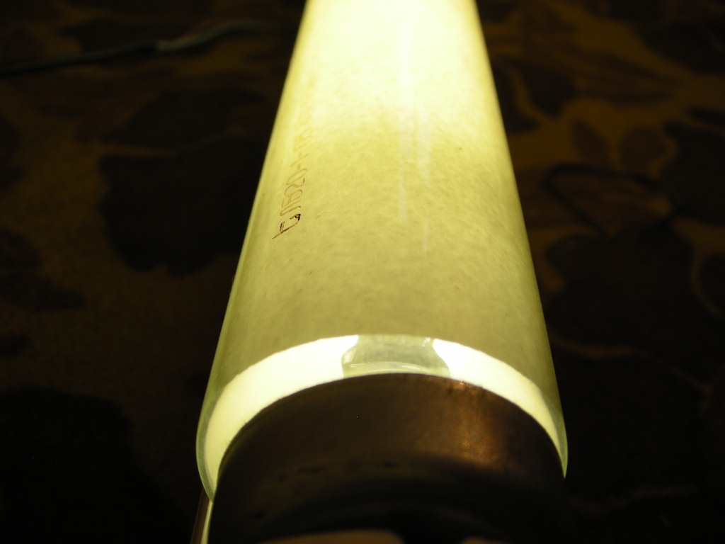 DSCN0451