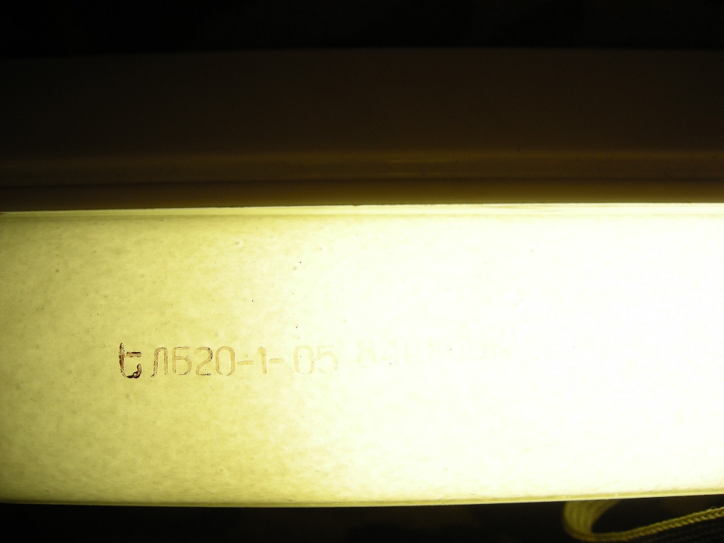 DSCN0452