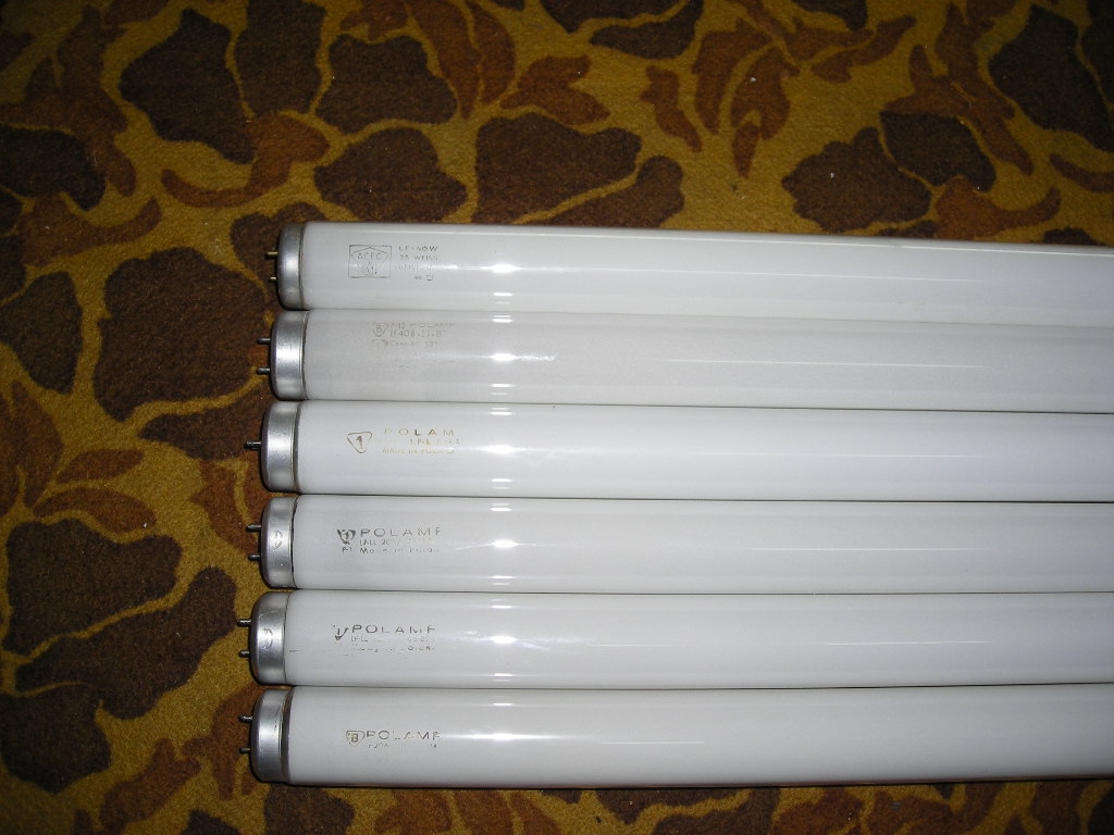 DSCN0703