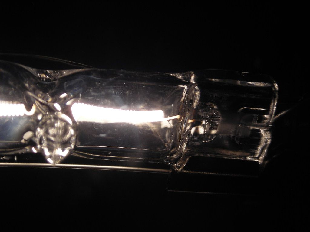 DSCN5449