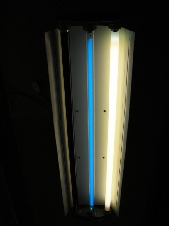 DSCN2735