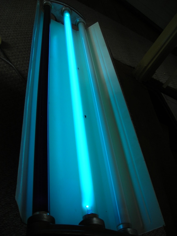 DSCN2740