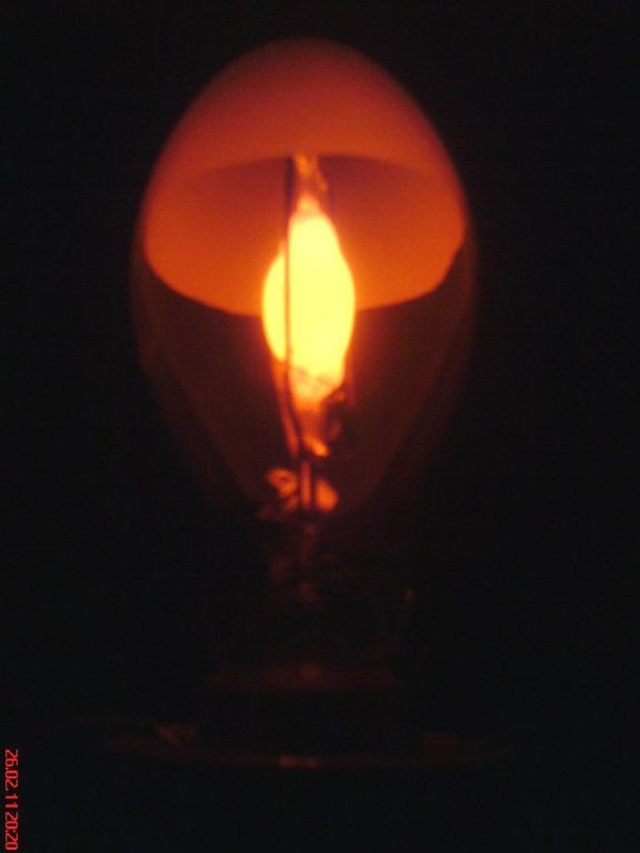 DSC07105