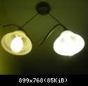 DSCN4216