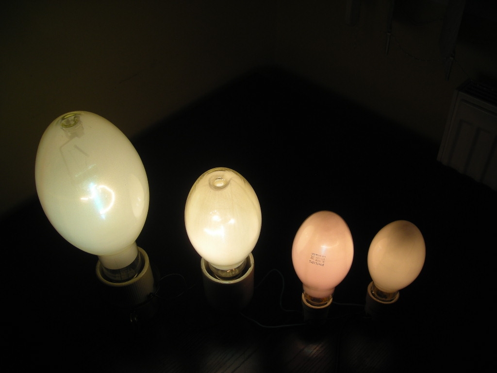 DSCN4241