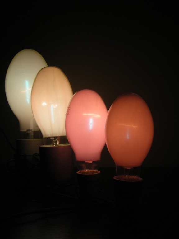 DSCN4249