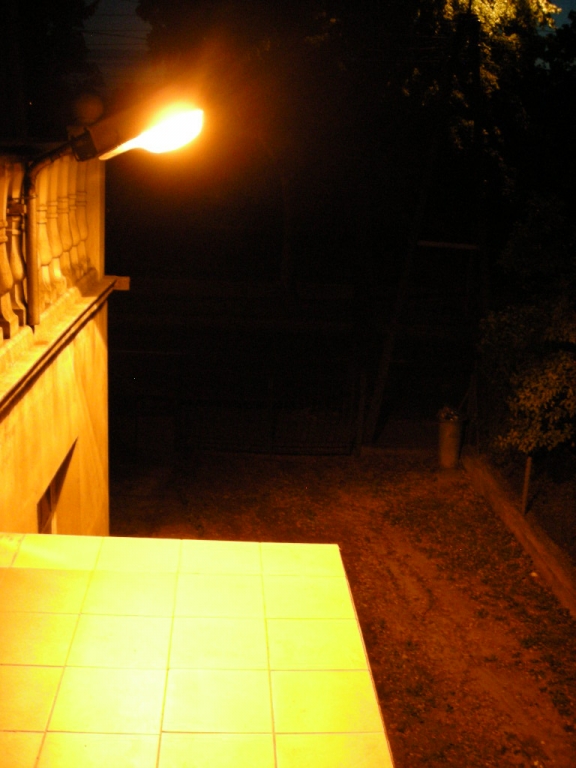 DSCN3903