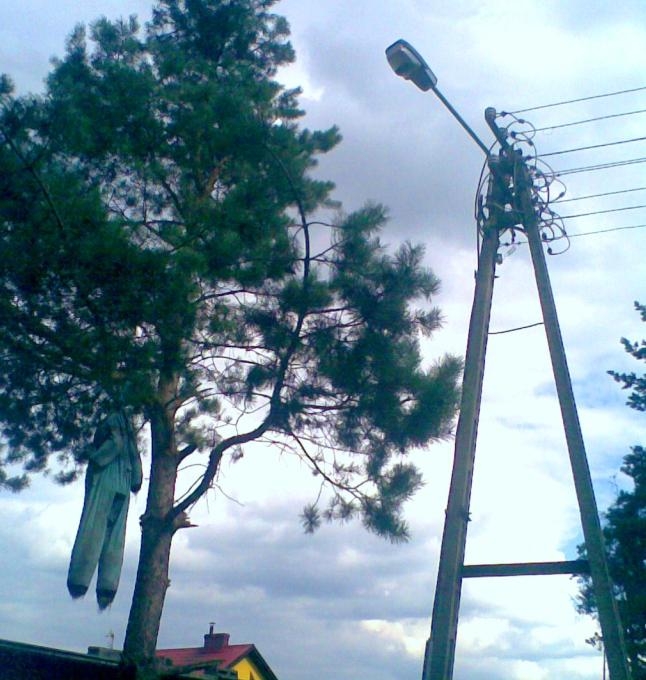 DSCN000