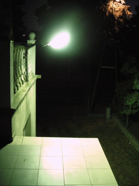 DSCN3924