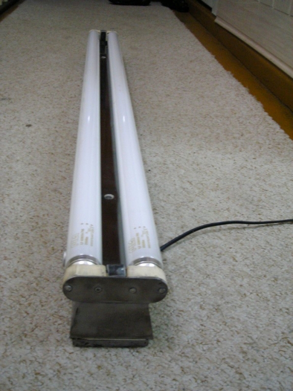 DSCN4148