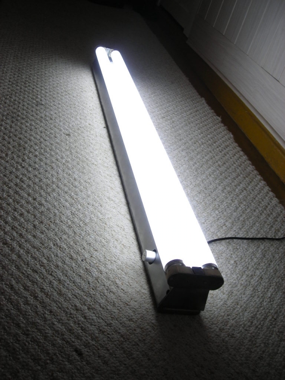 DSCN4150