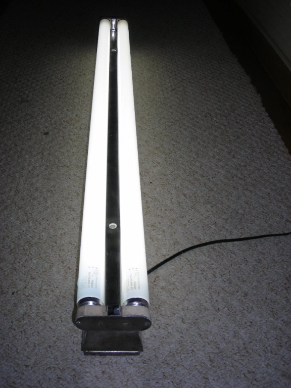 DSCN4152