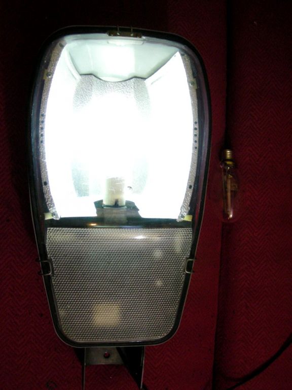 DSCN0922