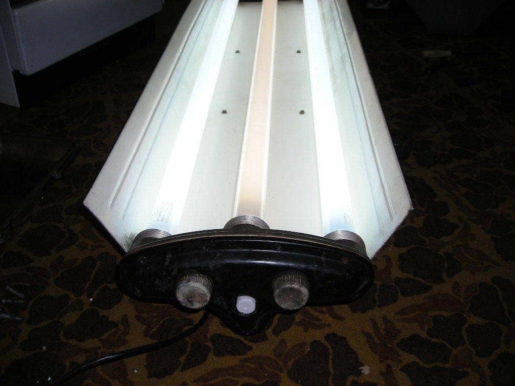 DSCN1217