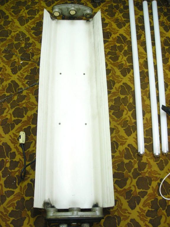 DSCN1218