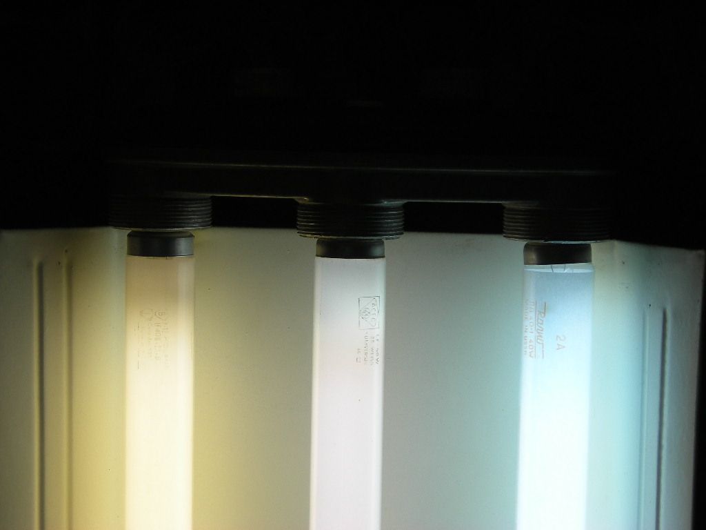 DSCN1237