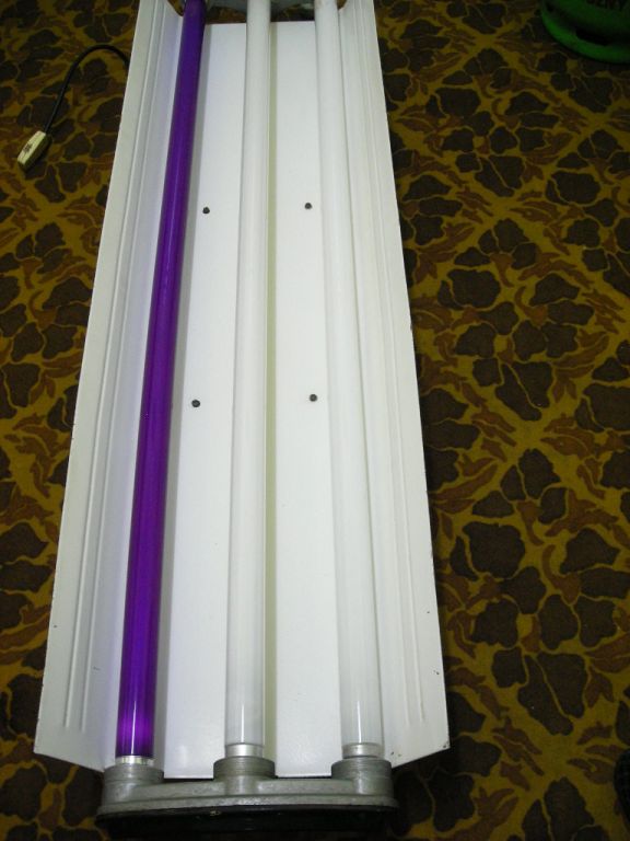 DSCN1241