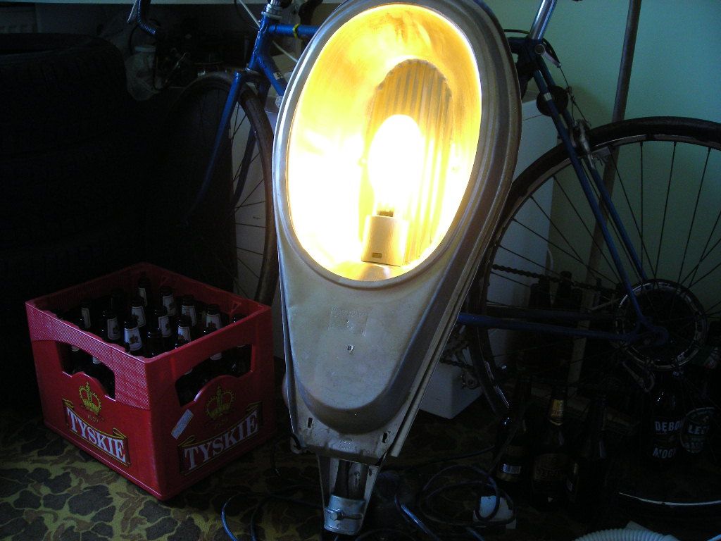 DSCN4524