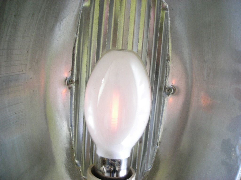 DSCN4529