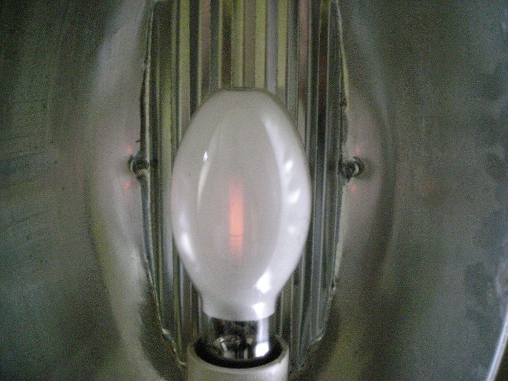 DSCN4530