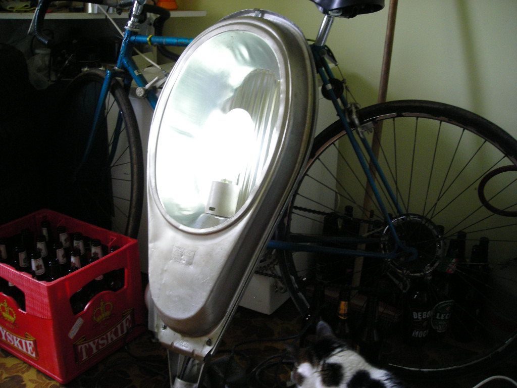 DSCN4541