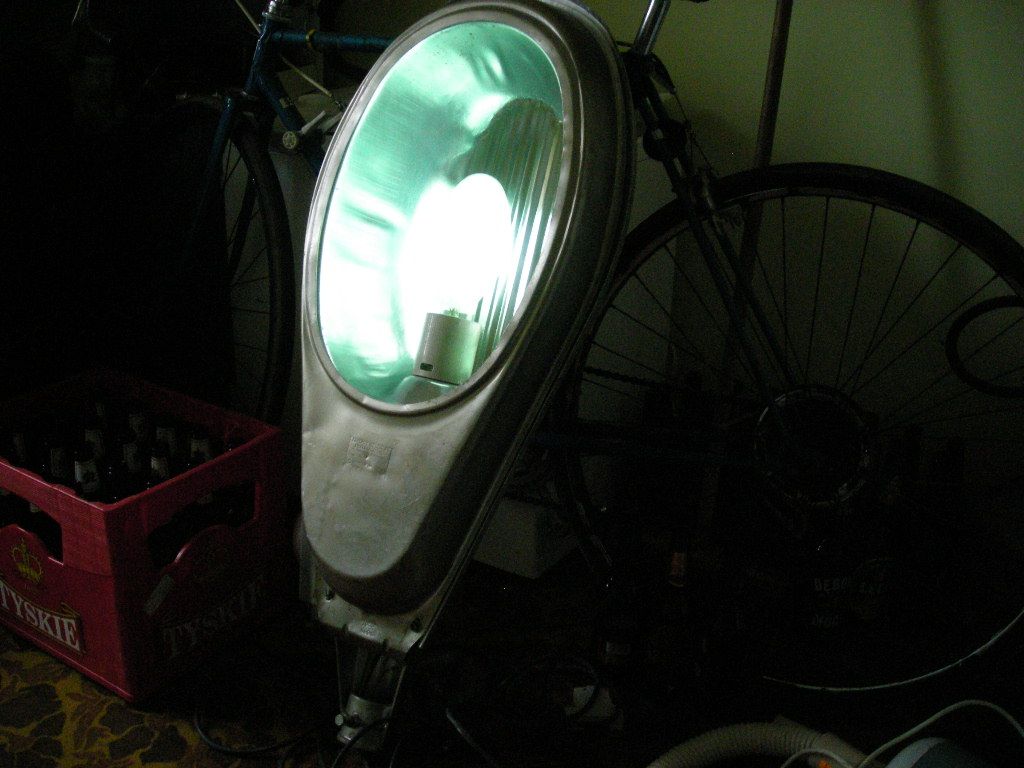 DSCN4543