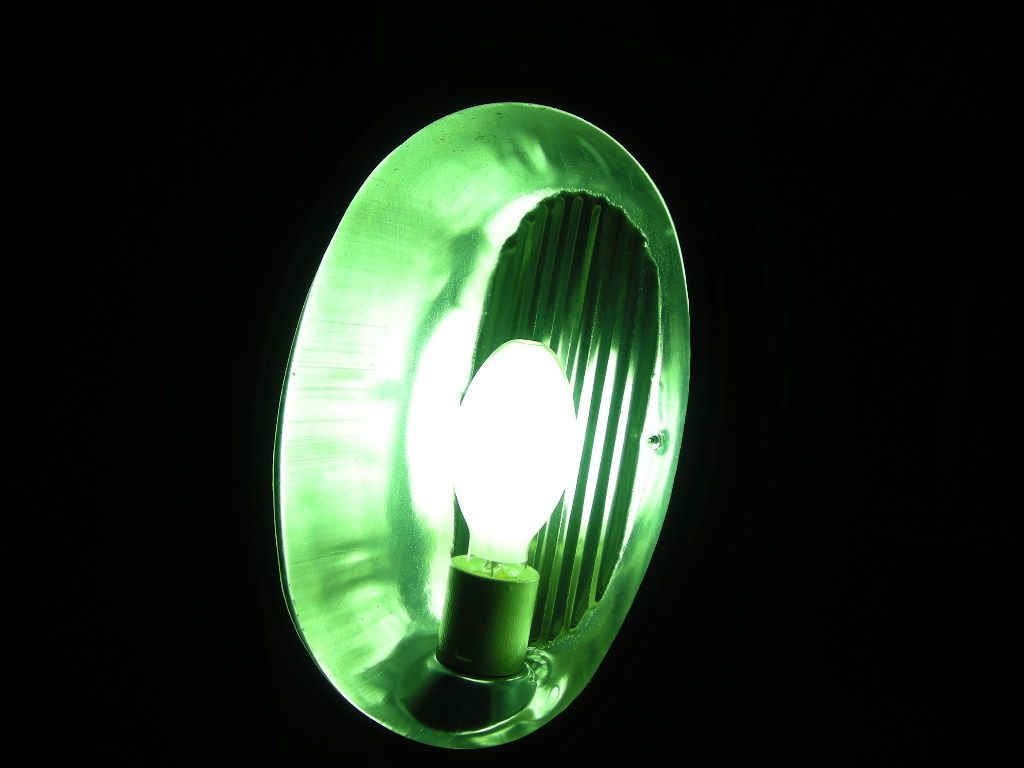 DSCN4547
