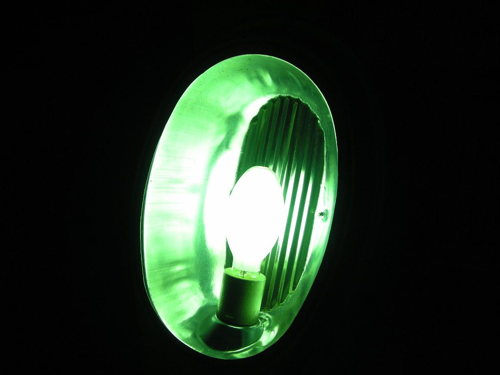 DSCN4548