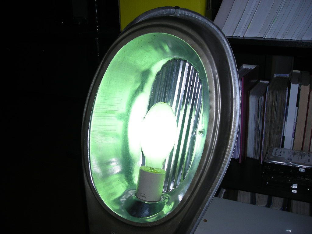 DSCN4549