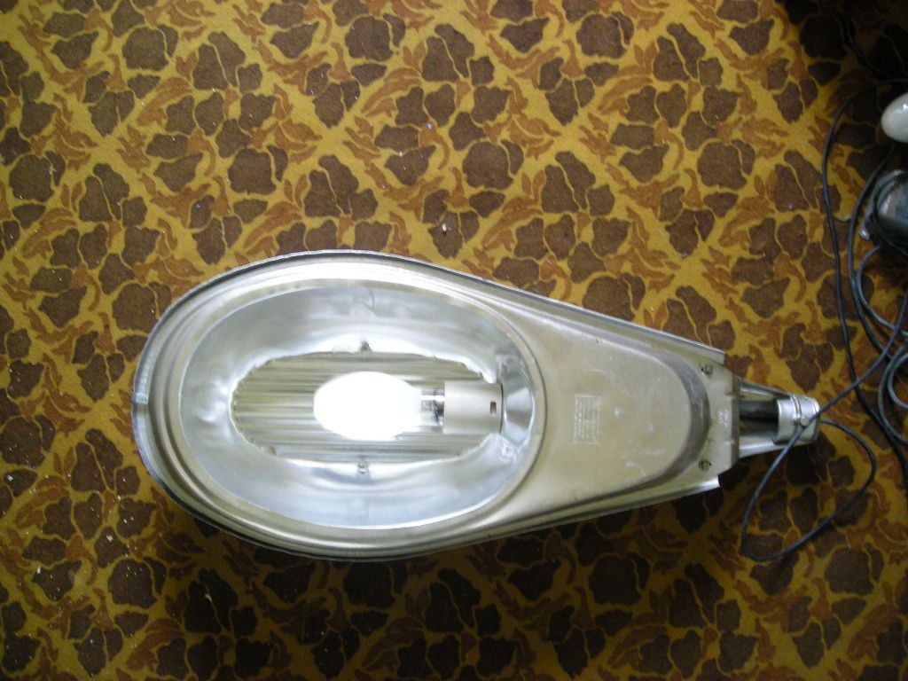DSCN4554