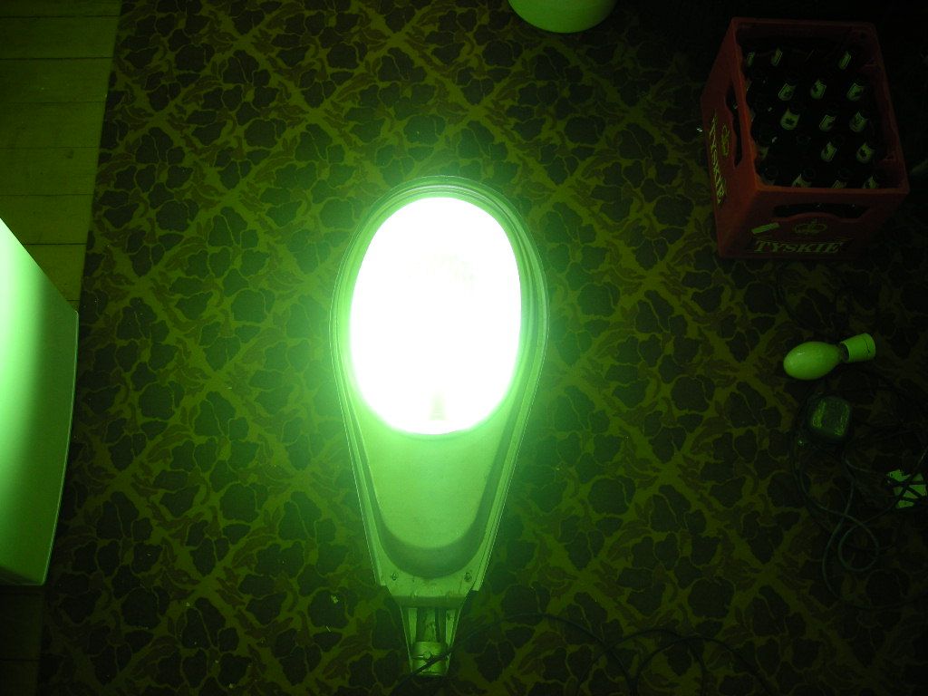 DSCN4559