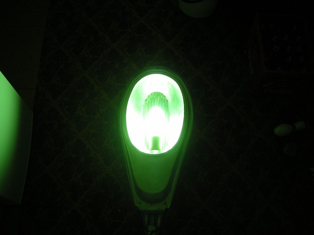DSCN4560