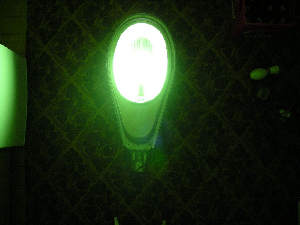 DSCN4561