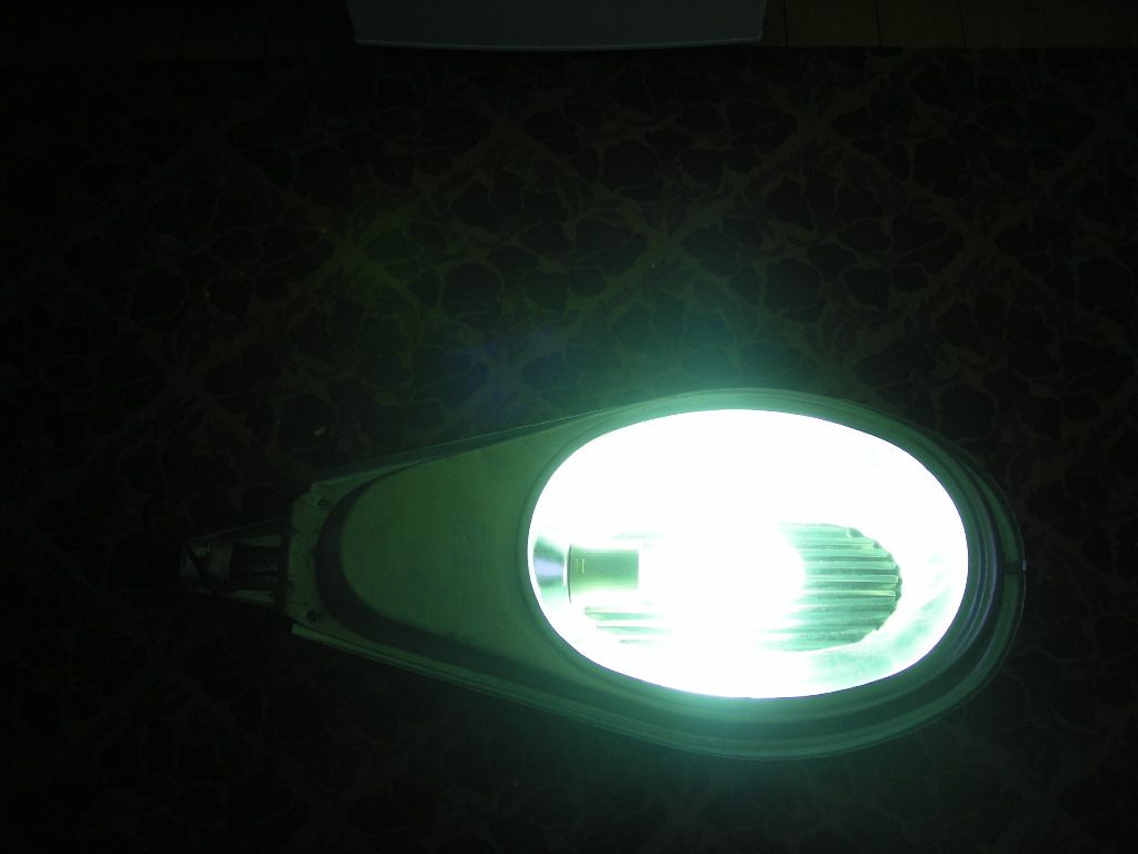 DSCN4565