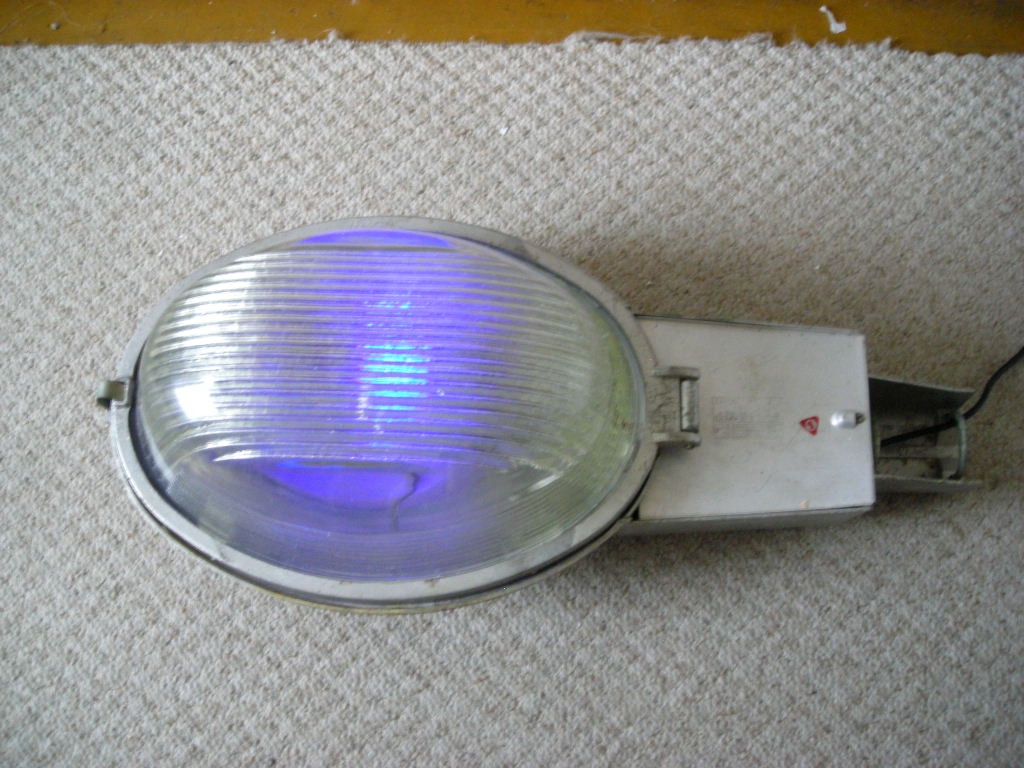 DSCN3577