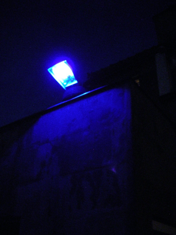 DSCN3587