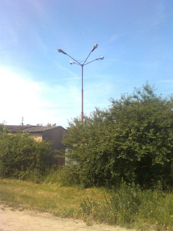 kwiat.Trzebiatów.