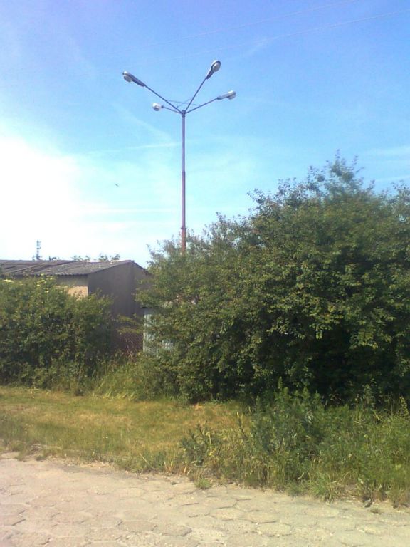 Kwiat.Trzebiatów01.