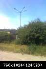 Kwiat.Trzebiatów01.