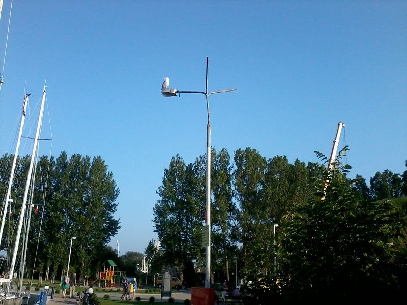 2012-07-06 19.17.21
