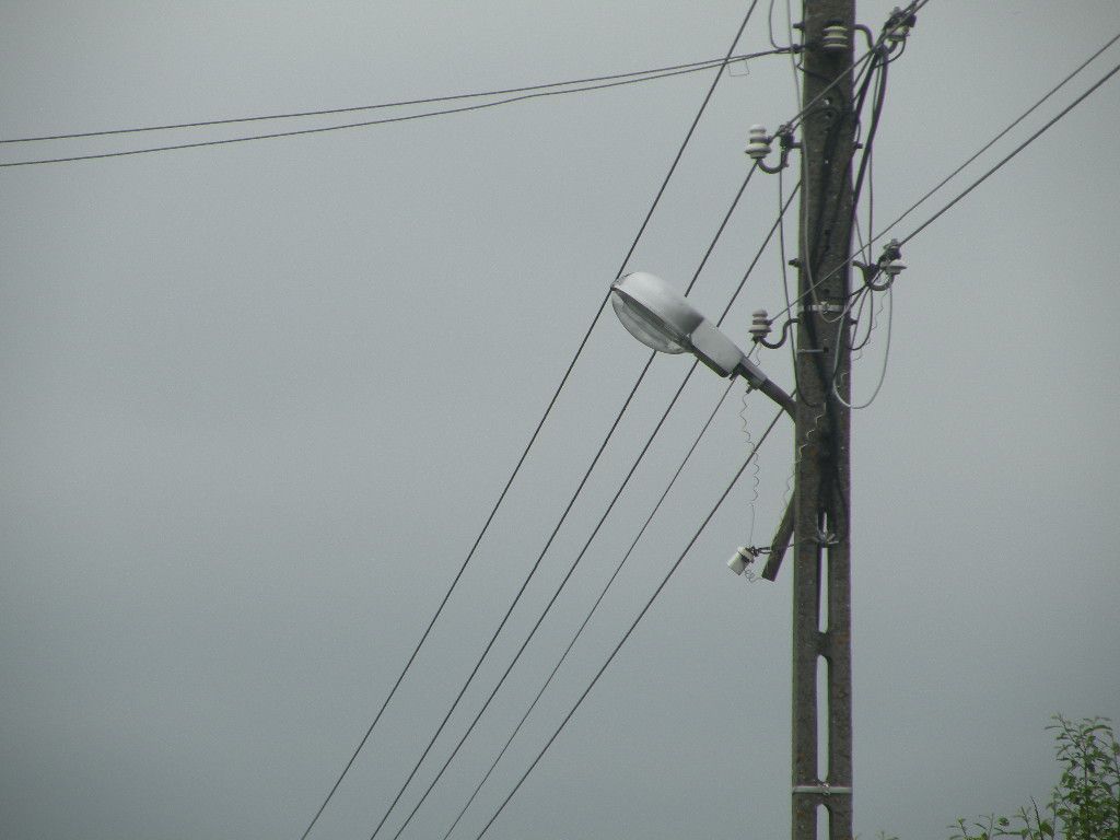 DSCN0850