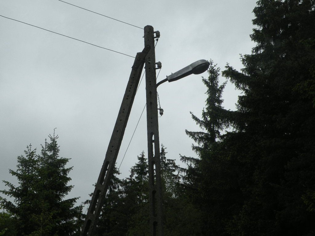 DSCN0858