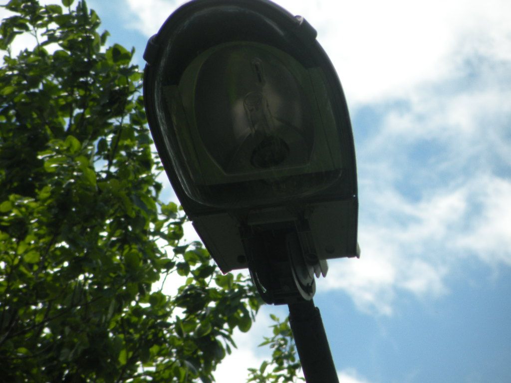 DSCN0961