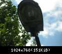 DSCN0961