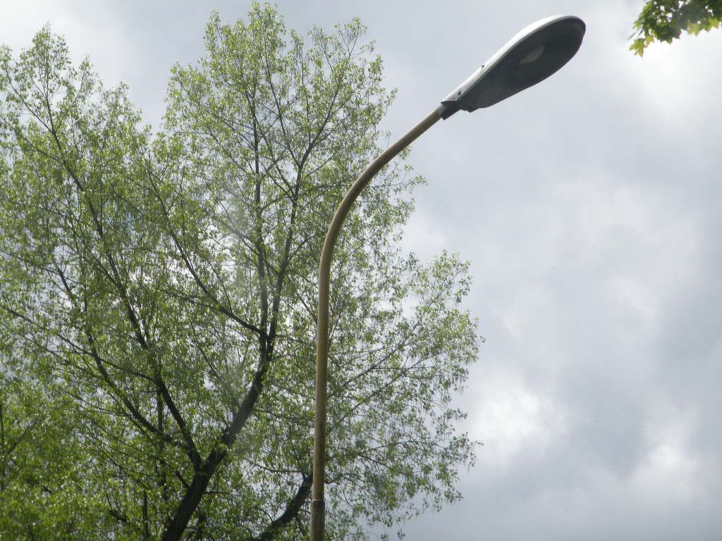 DSCN0957
