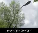 DSCN0957