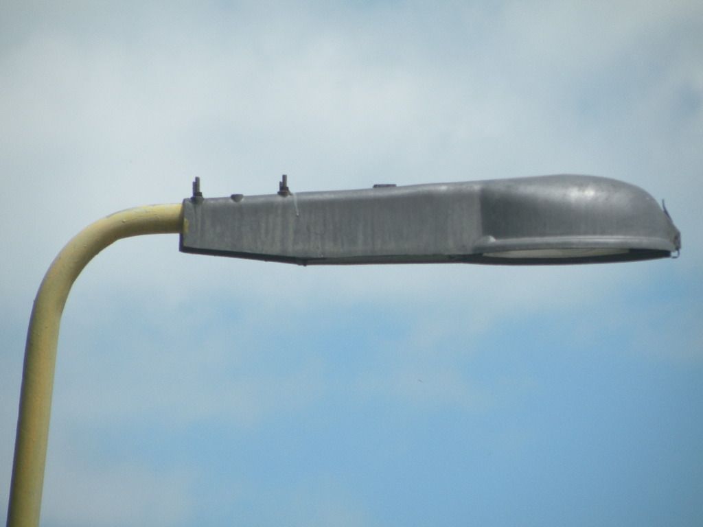 DSCN0970